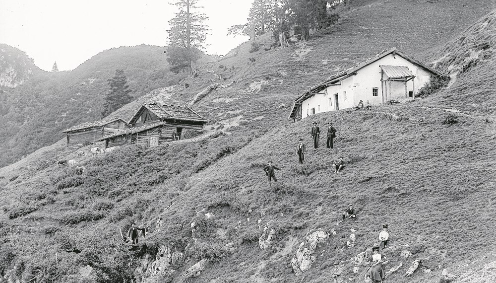 Thaurer Alm, o.D.