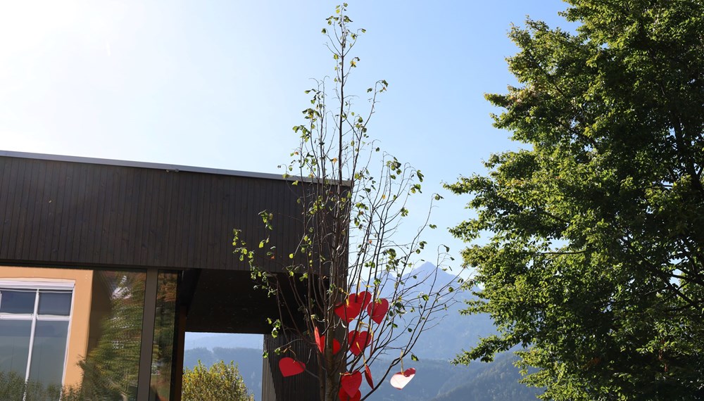 Anlässlich des Namenstages aller Herlinden am 12. Oktober wurde heuer zum 24. Mal in Innsbruck eine Linde gepflanzt. Diesmal konnten sich die Kinder der Volksschule Allerheiligen über den Baum (eine Winterlinde) freuen, der vom städtischen Amt für Grünanlagen gesetzt wurde. Die Kinder der vierten Klassen bedankten sich gebührend mit einem musikalischen Ständchen im Schulhof - auch im Beisein von Vizebürgermeister Johannes Anzengruber, Direktor Martin Müller und Stefan Engele (Amt für Grünanlagen).