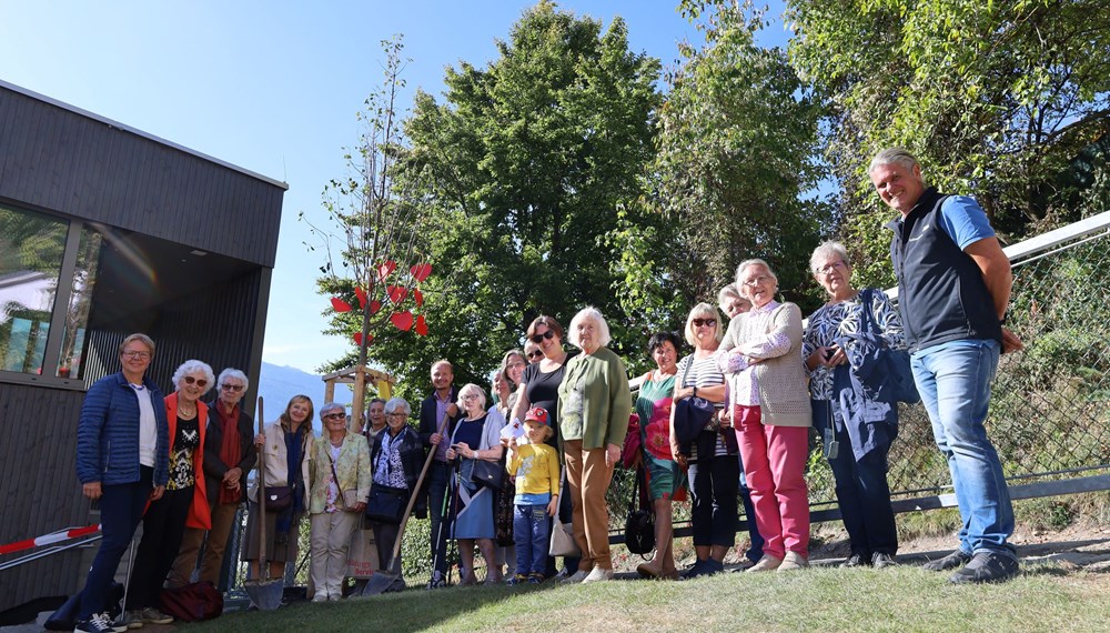 Anlässlich des Namenstages aller Herlinden am 12. Oktober wurde heuer zum 24. Mal in Innsbruck eine Linde gepflanzt. Diesmal konnten sich die Kinder der Volksschule Allerheiligen über den Baum (eine Winterlinde) freuen, der vom städtischen Amt für Grünanlagen gesetzt wurde. Die Kinder der vierten Klassen bedankten sich gebührend mit einem musikalischen Ständchen im Schulhof - auch im Beisein von Vizebürgermeister Johannes Anzengruber, Direktor Martin Müller und Stefan Engele (Amt für Grünanlagen).