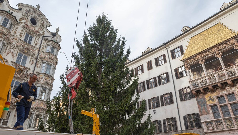 Gewohnte Präzisionsarbeit: Städtische Mitarbeiter platzierten den Christbaum millimetergenau an seinem Standort in der Altstadt.