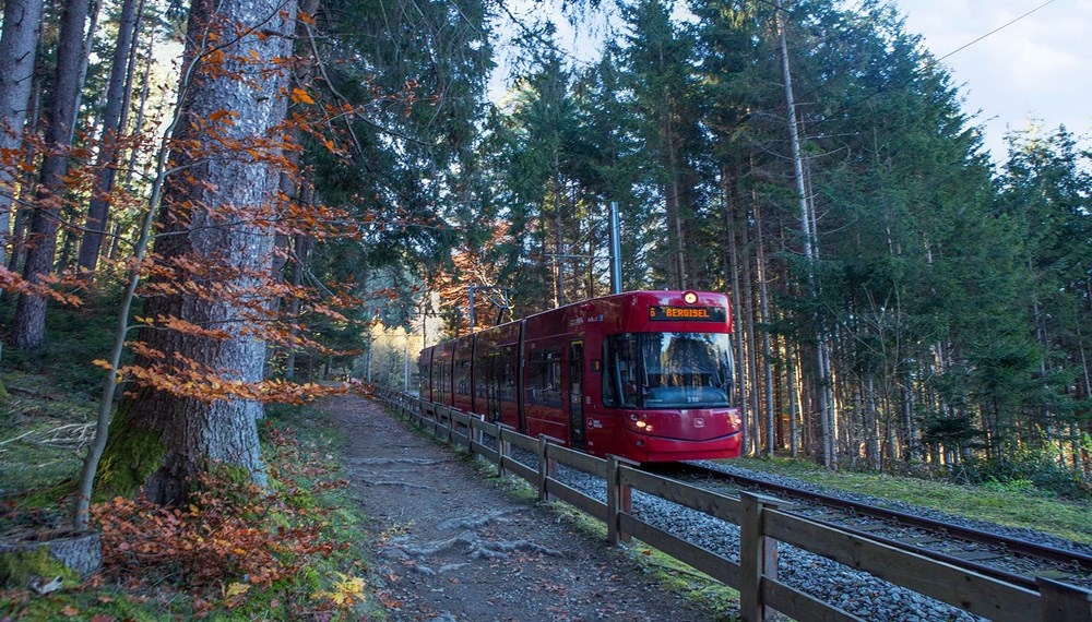 Die "Waldstraßenbahn" ist wieder auf Schiene.