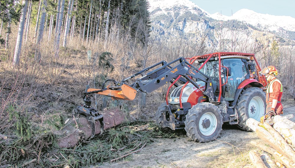 Forstarbeiten – wie der Abtransport von Schadholz – gehören zu den Kernaufgaben des Amtes für Wald und Natur.