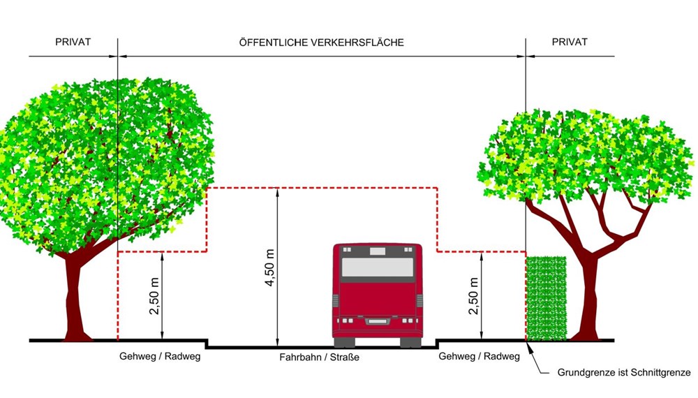 Ab der Grundstücksgrenze dürfen Äste nicht niedriger als 2,5m (Geh- und Radwege) und 4,5m (Straßen) hängen – ansonsten müssen sie geschnitten werden.