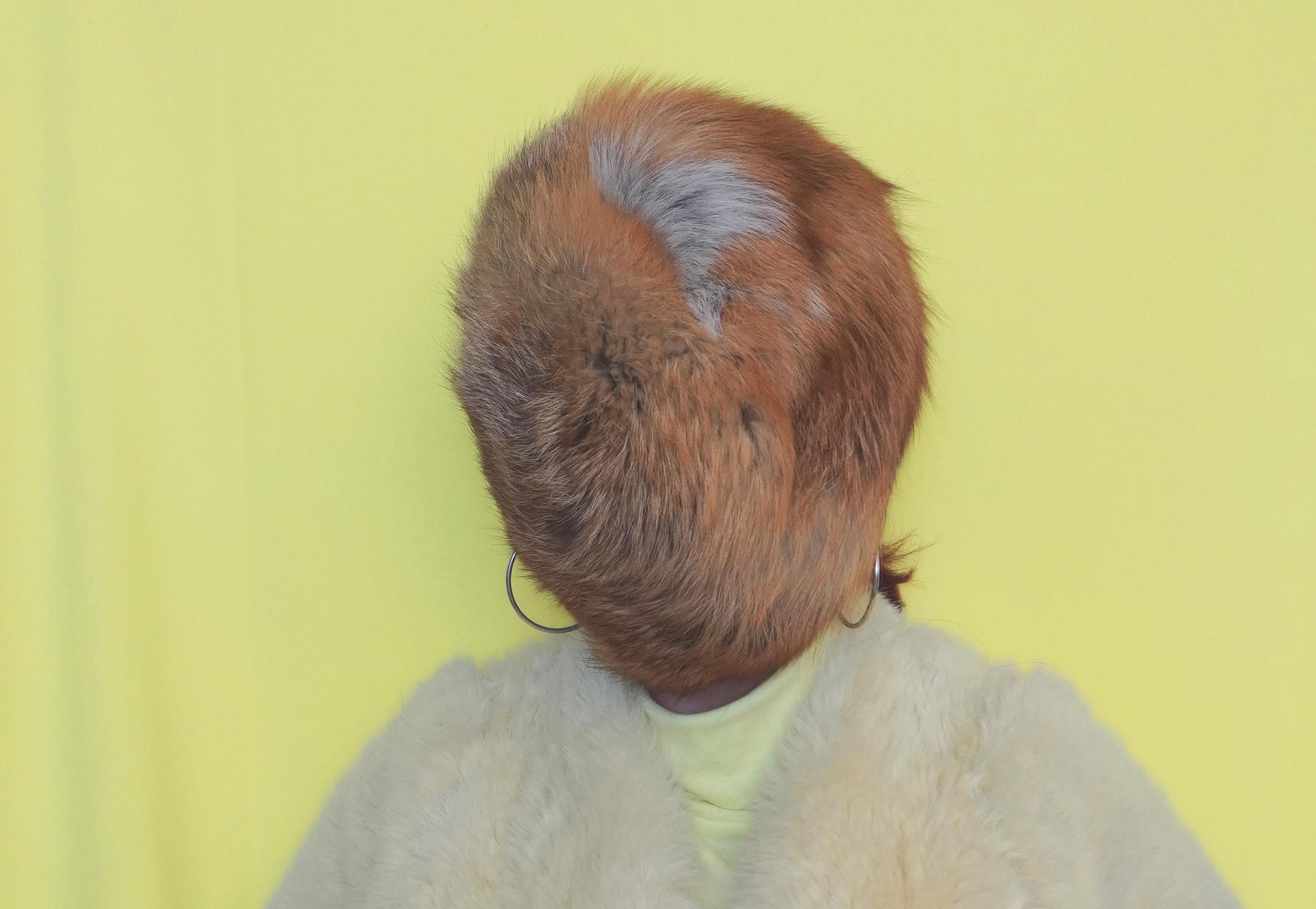 Von 9. November bis 4. Jänner 2025 sind die „Kunstankäufe der Stadt Innsbruck 2024“ in der Galerie Plattform 6020 zu sehen – unter anderem „Plaisier“ von Christiane Spatt (2022, digitale Fotografie, 75 x 50 cm, Ausschnitt).