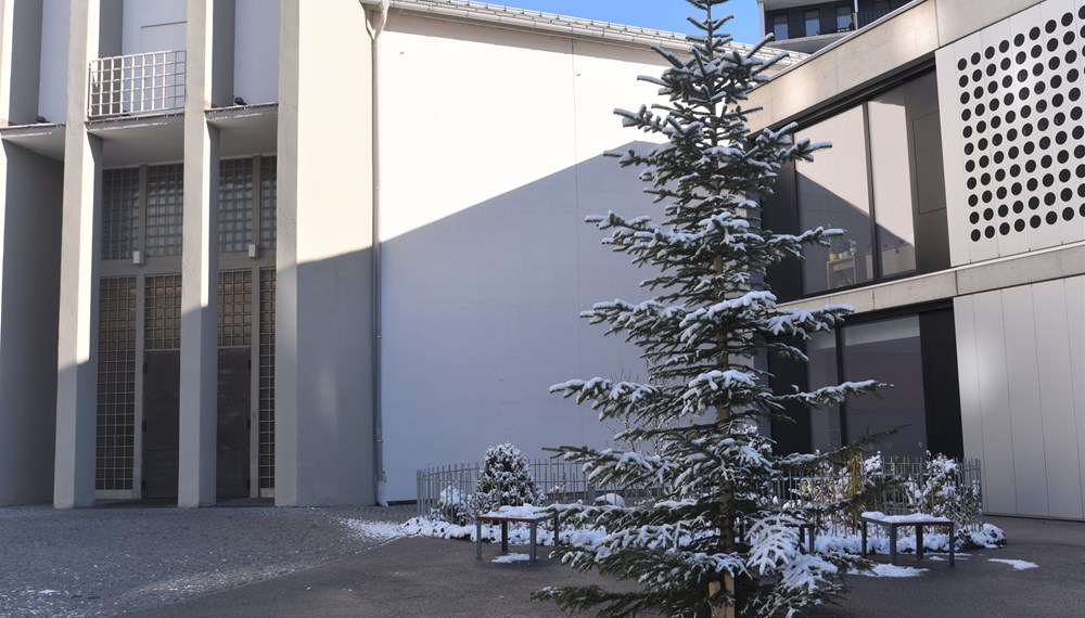 Schon seit Mitte November verbreiten in Innsbruck städtische Weihnachtsbäume vorweihnachtliche Stimmung. Nicht alle sind schon mit weihnachtlichen Lichtern geschmückt, wie zum Beispiel
jener vor der Pauluskirche im Stadtteil Reichenau.