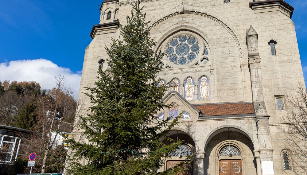 Über 270 Christbäume, darunter zahlreiche private Spenden, schmücken Innsbrucks Stadtteile (Im Bild: Stadtteilchristbaum Hötting). Wer einen Baum für zuhause haben möchte, wird am städtischen Christbaummarkt fündig.