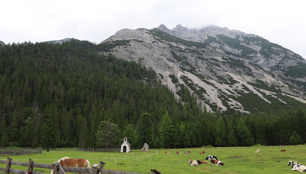 Die Möslalm im Gleirschtal inmitten des Naturparks Karwendel wird seit mehr als 90 Jahren bewirtschaftet. Gemeinsam mit der Arzler Alm, der Bodensteinalm, der Fronebenalm im Stubaital, der Höttinger Alm und der Umbrüggler Alm gehört die Möslalm zu den sechs Almen im Eigentum der Stadt Innsbruck. 1.262 Meter über dem Meeresspiegel dient die Möslalm nicht nur zur Sommerfrische der Almrinder, sondern auch als Rückzugs- und Erholungsgebiet für Gäste wie Einheimische gleichermaßen, die mit den regional und nachhaltig produzierten Speisen von Mai bis September bewirtet werden.
Direkt zur Alm gehört auch eine kleine Kapelle, die in den späten 1920er-Jahren errichtet wurde. Zur Begrenzung der Viehweide wird zukünftig rund um die Andachtsstelle ein Gatter errichtet. Das schmiedeeiserne Gattertor wurde im Zuge einer Projektarbeit der 4. Klasse Schmiedetechniker der Tiroler Fachberufsschule für Metalltechnik in der Mandelsbergerstraße gefertigt. Bürgermeister Johannes Anzengruber stattete den Schülern sowie den Lehrbeauftragten kürzlich einen Besuch ab und zeigte sich vom Werk sichtlich begeistert. Im Bild v. l. n. r.: Lehrer Stefan Erlacher, die Schüler der 4. Klasse (Schmiedetechniker), Direktor Josef Siller und Bürgermeister Johannes Anzengruber.