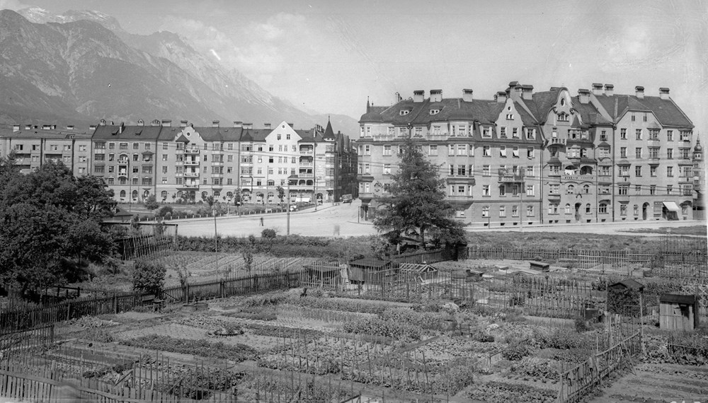 Urban Gardening am Leipziger Platz in Pradl in der Zwischenkriegszeit.