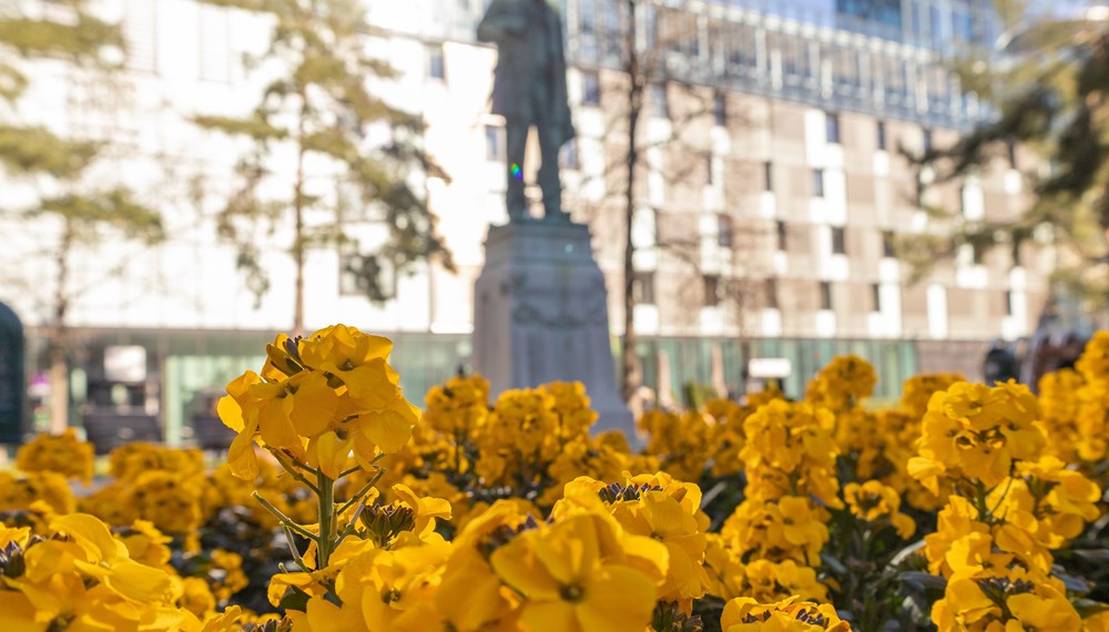 Die Beete am Adolf-Pichler-Platz verbreiten frühlingshafte Stimmung.