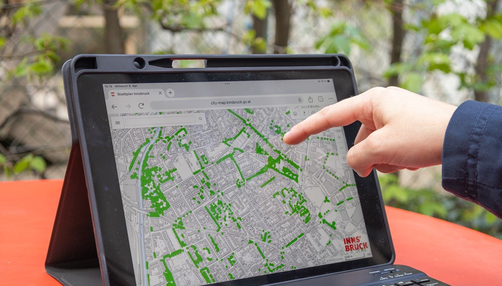 Die Informationen zu mehr als 13.600 Bäumen können digital im städtischen Baumkataster abgerufen werden.