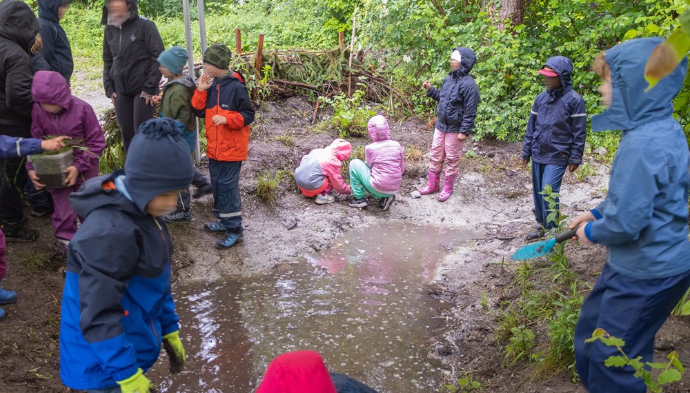 Unter fachlicher Anleitung setzten die Volksschulkinder Wasserpflanzen in das Biotop ein.
