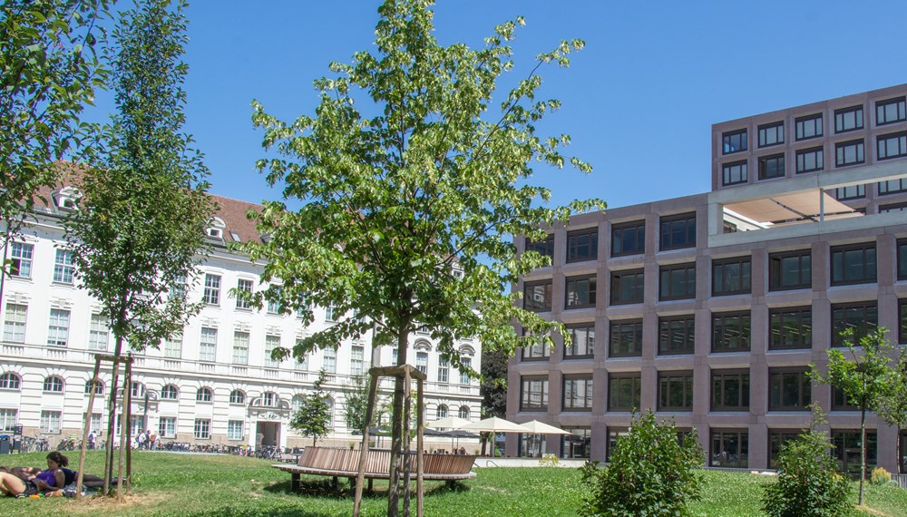 Auch oder ganz besonders im Sommer kann man ungestört Behördengänge in Innsbruck erledigen.