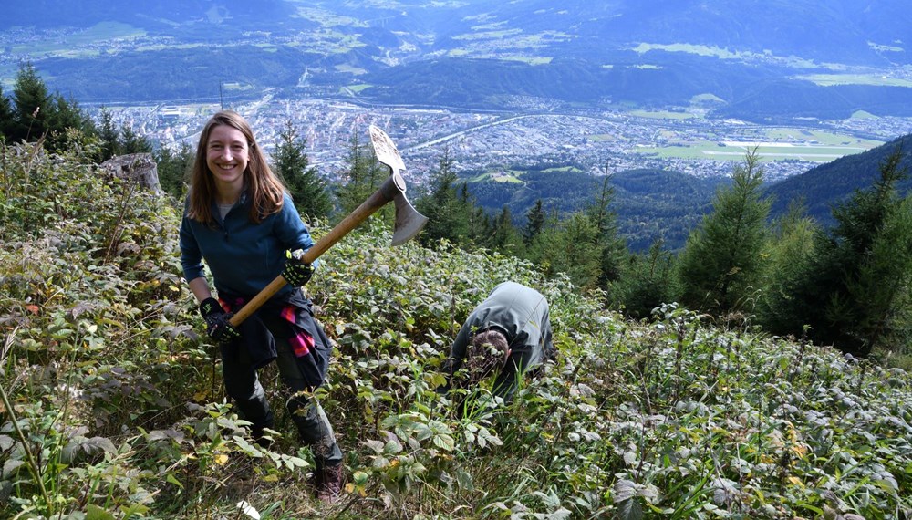 Eine Woche lang wurde gepflanzt, geschnitten, verjüngt und vieles mehr, damit der Wald an den Hängen der Nordkette auch in Zukunft Innsbruck vor Lawinen und Erosionen schützt.