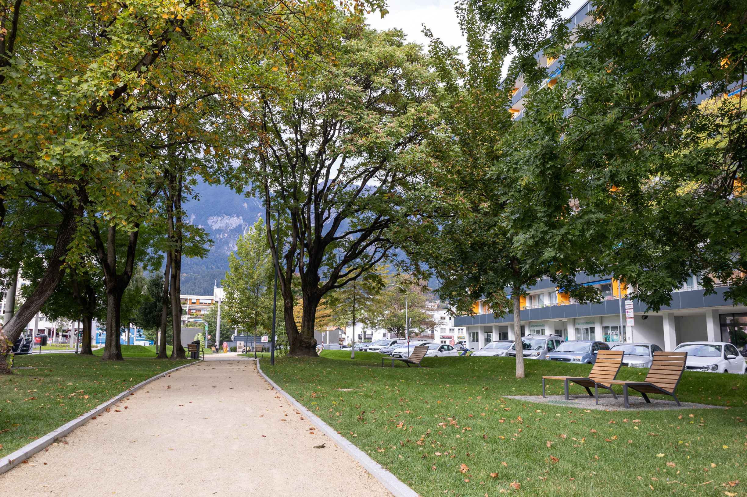 Bei Neugestaltungen – wie im kürzlich eröffneten Olympiapark – legt das Amt für Grünanlagen
besonders viel Wert auf Barrierefreiheit und Sichtbarkeit auf allen Wegen.