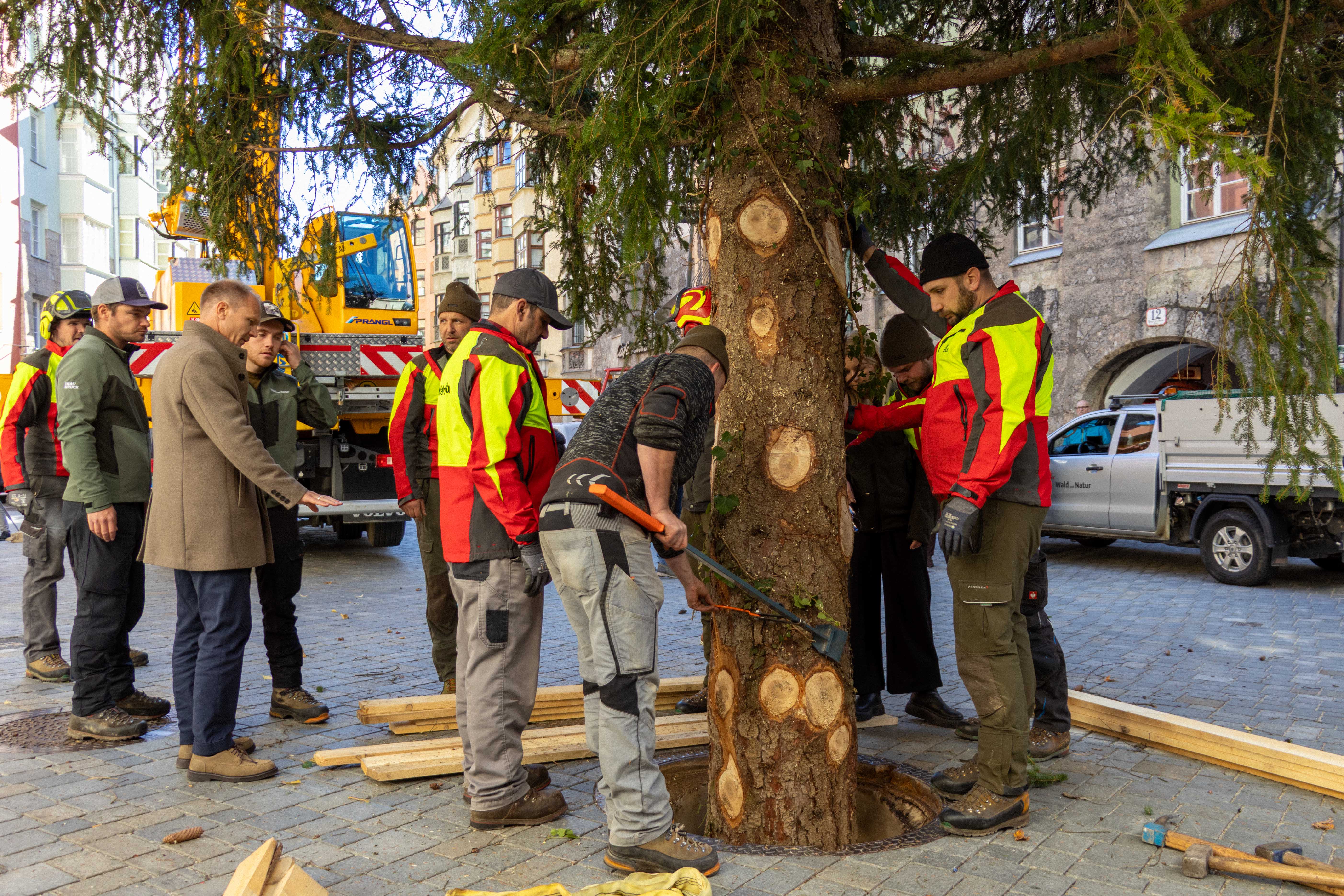 Im Beisein von Bürgermeister Johannes Anzengruber wird der Christbaum sorgfältig in die Vorrichtung manövriert.