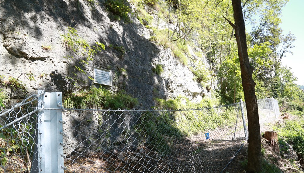 Die neu errichteten Steinschlag-Schutznetze sichern einen weiteren Teilbereich des Wilhelm-Greil-Weges, der auch unter der Hungerburgbahn-Trasse verläuft.