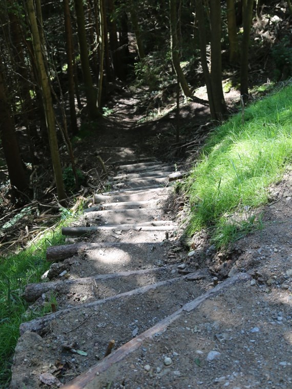 Das städtische Forstamt pflegt das ganze Jahr über die Wege im größten Naherholungsgebiet der Tiroler Landeshauptstadt. Hier wurde ein steiler, unbefestigter Aufstieg mittels quer eingelegtem Rundholz gesichert.