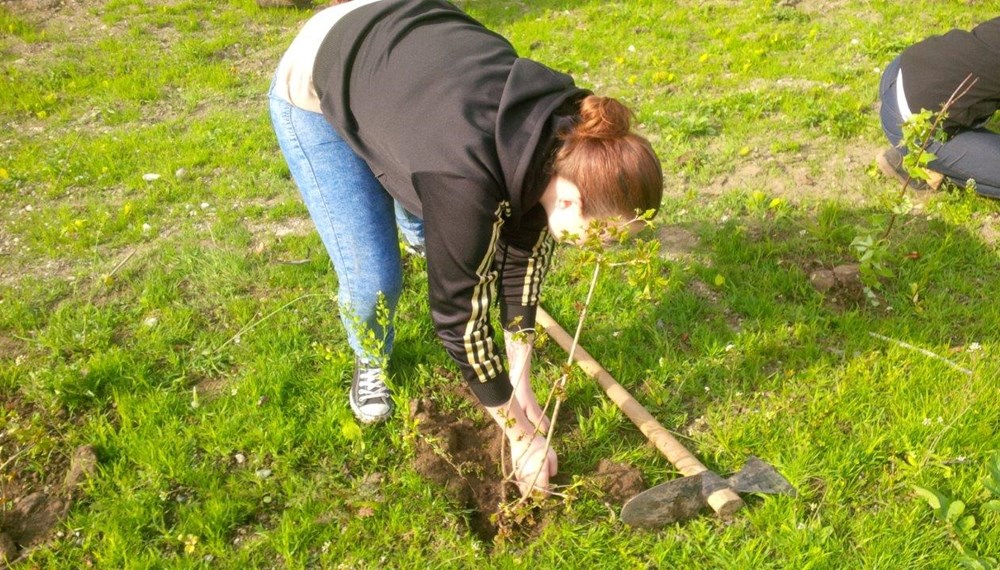 Am 22. April haben die Lehrlinge im Stadtmagistrat Innsbruck, von der Bürokauffrau bis zum Landmaschinenmechaniker im Bereich Kranebitten mit großem Eifer und Spaß an der Sache einen Waldgürtel aufgeforstet. dieser Waldgürtel bildet zukünftig eine Grünstreifen zwischen den neuen Siedlungsbereichen im Westen von Kranebitten und dem neuen Spielplatz, dessen Bau in Kürze beginnen wird. Dafür wurden von den Mädchen und Buben ca. 300 Straücher, welche auch in der Natur um Innsbruck vorkommen, verpflanzt. Damit haben die Lehrlinge einen aktiven Beitrag zur Erhaltung und Verbesserung der Wohnqualität in Kranebitten, der Erholungswirkung des Waldes rund um Innsbruck sowie zur Verbesserung des Lebensraumes für Vögel und andere Bewohner von Waldrandbereichen geleistet.
Das Amt für Land- und Forstwirtschaft, welches zusammen mit mit der Lehrlingsbeauftragten Monika Erharter diese Aktion für unseren Lehrlinge organisiert hat, zeigt sich über den Einsatzwillen und das Engagement der Jugendlichen beeidruckt und bedankt sich für die gute Arbeit. Das Amt für Personalwesen hat seinen Beitrag in Form einer wohlverdienten Stärkung Ihrer jüngsten Mitarbeiter geleistet, wofür sich die jungen Waldarbeiter herzlich bedanken.