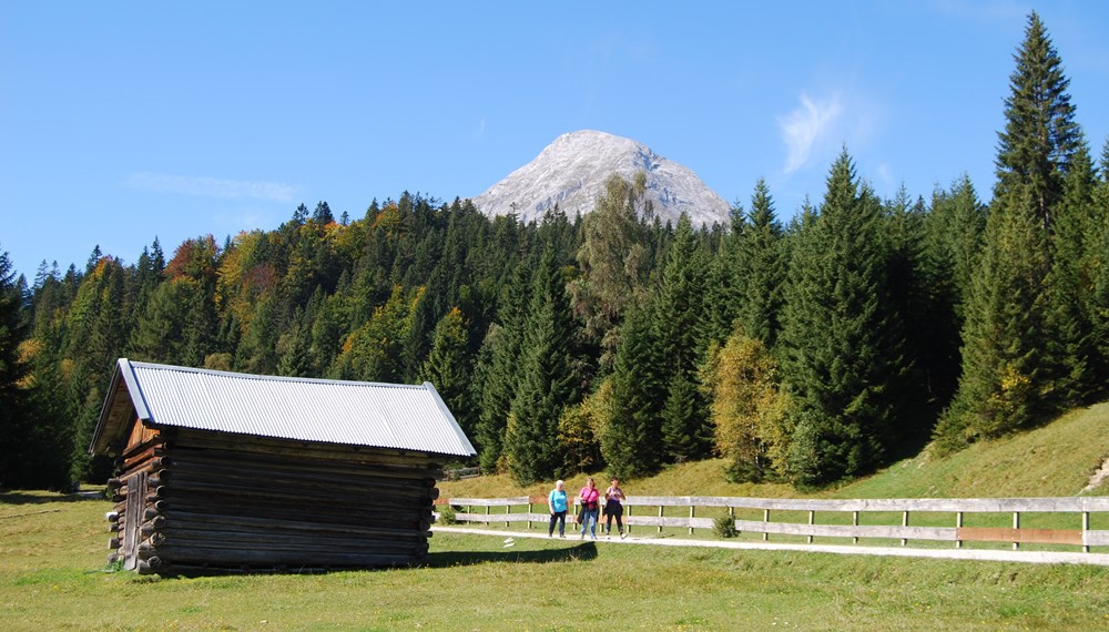 Bei der Veranstaltung „Unsere Berge für Innsbrucks Seniorinnen und Senioren“ kann die Generation 60 plus die Natur rund um die Landeshauptstadt zwei Tage lang in vollen Zügen genießen.