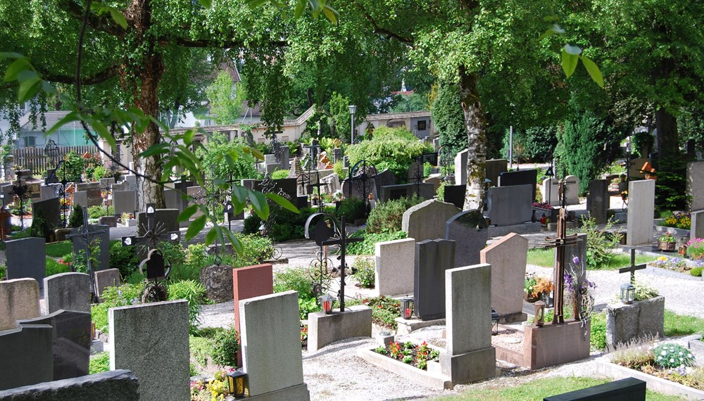 Mühlauer Friedhof: Der Verzicht von glyphosathaltigen Herbiziden sorgt für eine Vielfalt an Tier- und Pflanzenarten.