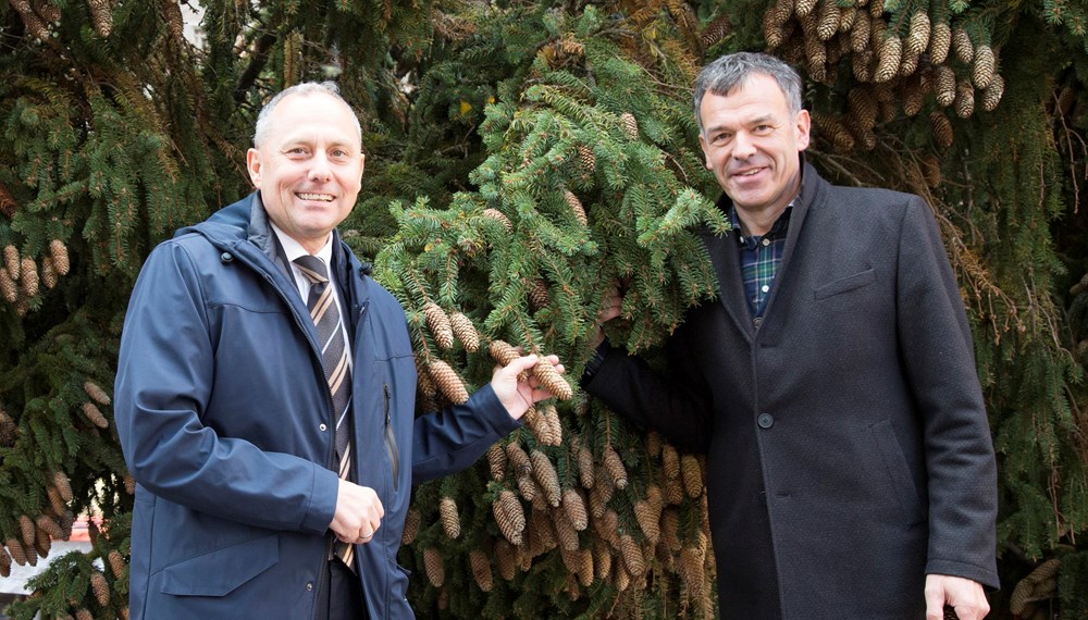 Der ungarische Botschafter, Andor Nagy (l.), besichtigte im Rahmen seines Antrittsbesuchs bei Bürgermeister Georg Willi den diesjährigen Christbaum in der Innsbrucker Altstadt. Die beiden Funktionsträger tauschten sich über die Gemeinsamkeiten und weitere Möglichkeiten der Zusammenarbeit aus.